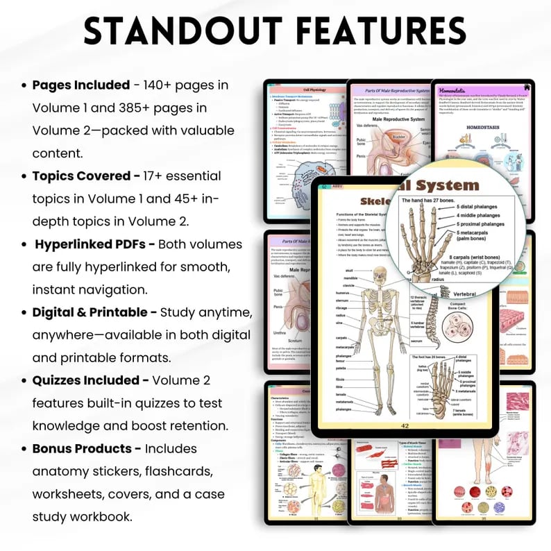 Standout features: 140+ pages in Volume 1, 385+ in Volume 2, hyperlinked PDFs, quizzes and bonus products